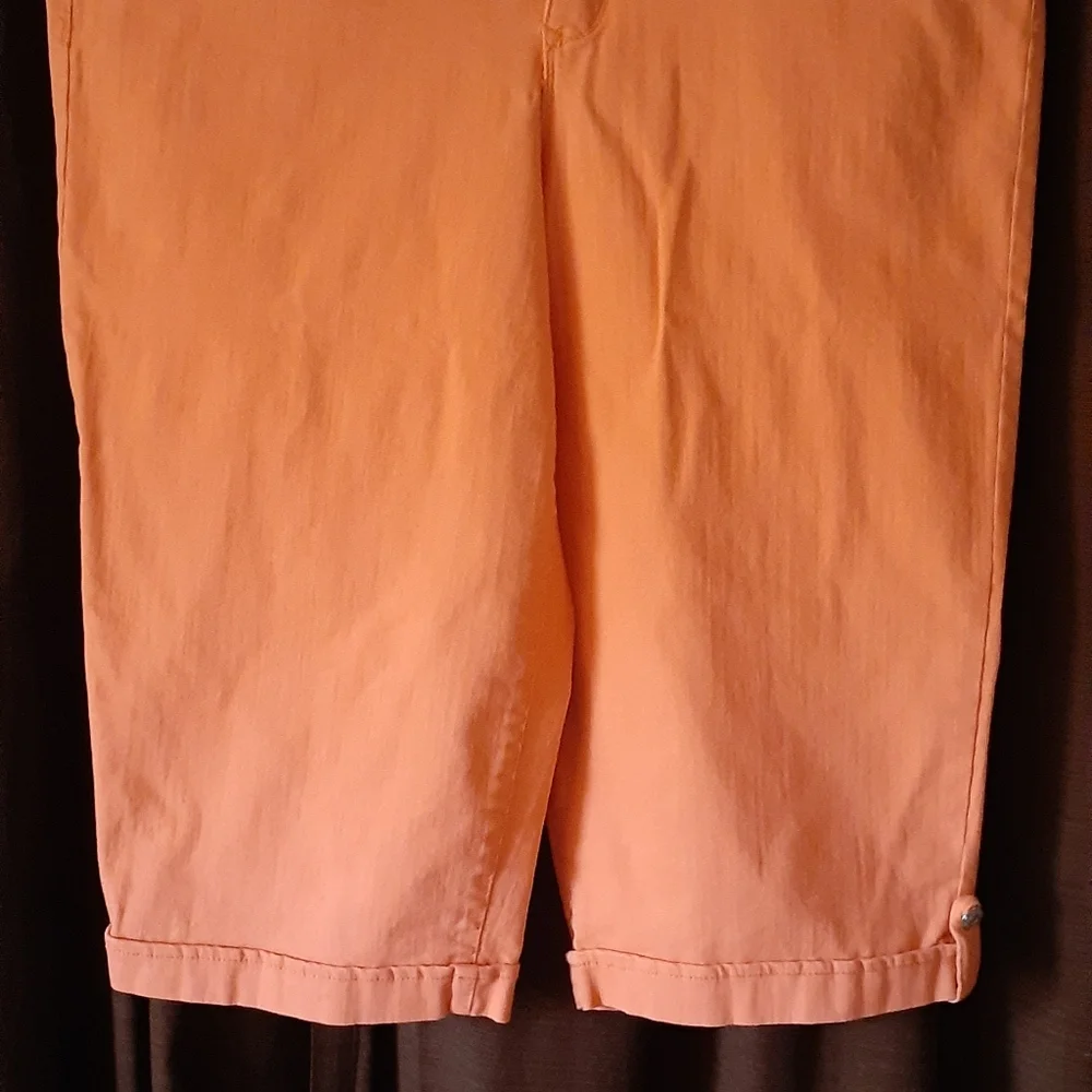 Gloria Vanderbilt capris